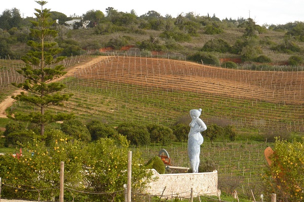 ¿Buscando el mejor vino portugués en el Algarve? Recomendamos reservar una cata de vinos en Quinta dos Vales.