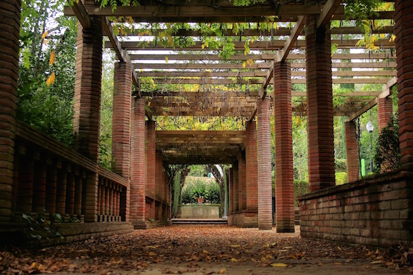 Relájate en Barcelona dirigiéndote a un hermoso jardín o a un parque menos famoso para disfrutar de la tranquilidad de la naturaleza.