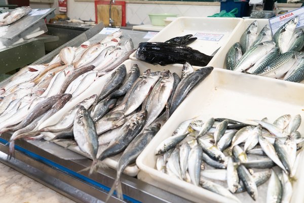 Mariscos en el mercado