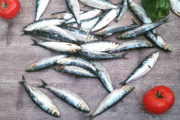 Si quieres probar sardinas en Lisboa, debes visitar durante el verano cuando todo el mundo asa sardinas en la calle.
