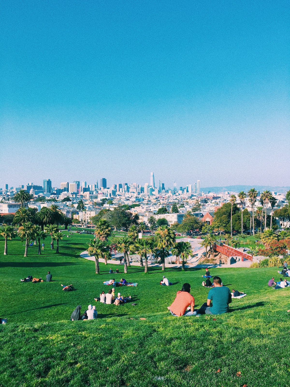 la gente disfruta de un día de verano en San Francisco sentado en un césped verde con vistas a la ciudad