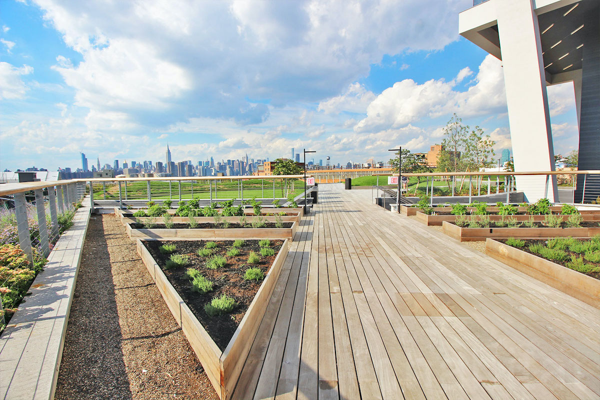 Una vista del horizonte de la ciudad de Nueva York tomada desde un jardín con pasarelas de madera