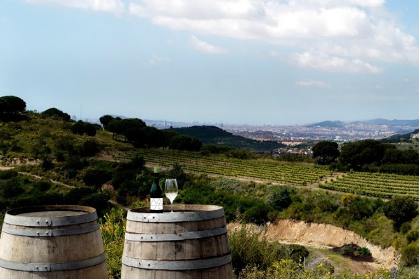 Nuestro Escape de vino de la granja a la mesa es uno de los mejores tours de comida vegetariana en Barcelona para los huéspedes que buscan escapar del ajetreo y el bullicio de la ciudad.