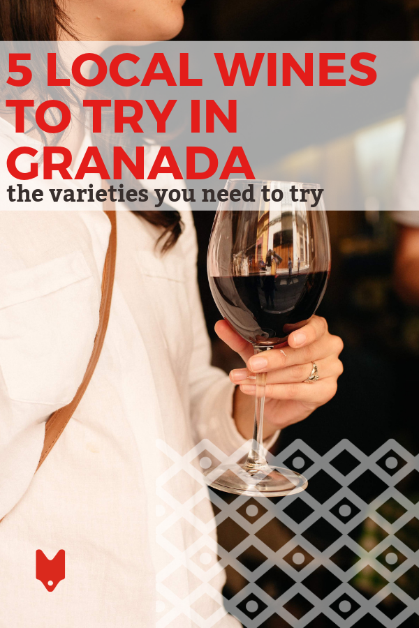 Bebe como un lugareño probando uno de nuestros cinco mejores vinos para pedir en Granada.